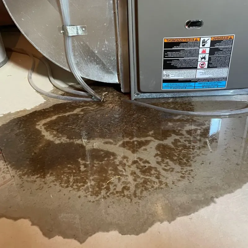 Pipe Burst and Leak Restoration in Lewis Center, OH