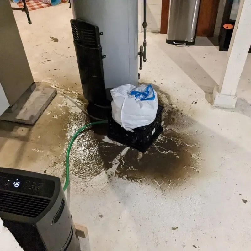 Sewage Backup Cleanup Service in Lewis Center, OH